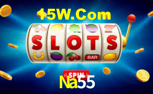 Interface Premium Na55